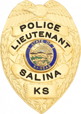 Eagle Topped Badge S295-A